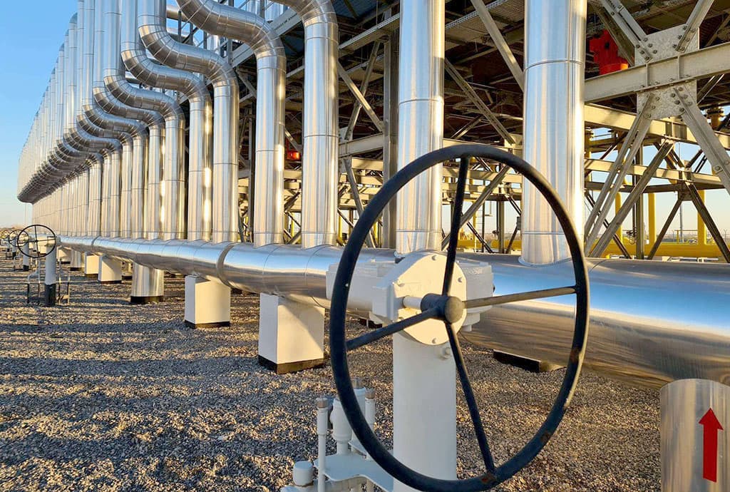 Business overview: 8 tenders, auction for the sale of state property and economic policy of Turkmenistan