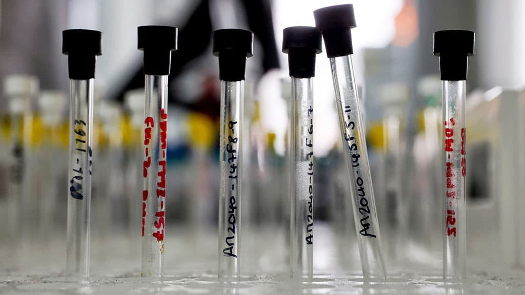 nauchno-klinicheskie-issledovaniya-kak-pauki-pomogut-pobedit-rak