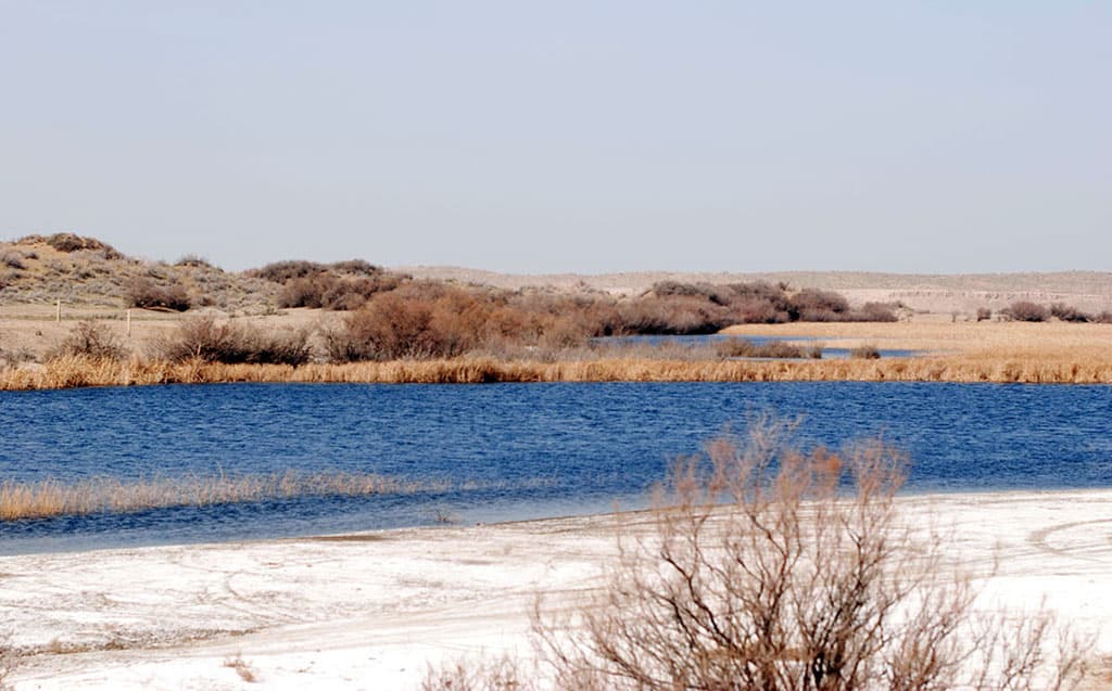 giz-obyavila-konkurs-na-luchshuyu-animacionnuyu-korotkometrazhku-ob-izmenenii-klimata-v-turkmenistane