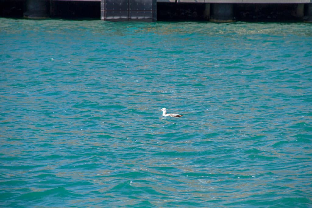 v-ashhabade-projdut-mezhdunarodnye-seminary-po-ustojchivomu-razvitiyu-kaspiya