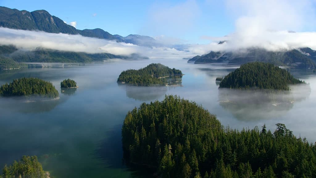 u-vseh-nas-tolko-odna-zemlya