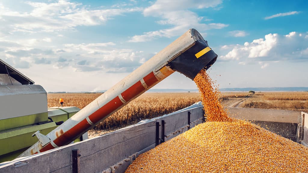 na-fone-prognozov-prodovolstvennogo-krizisa-rossiya-nachala-uborochnuyu-kampaniyu