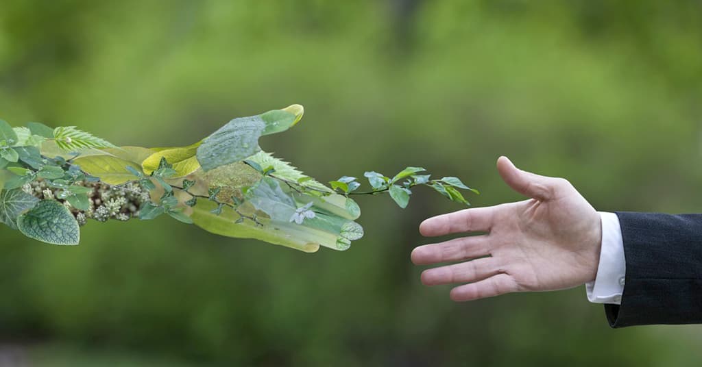 ogt-2022-makromasshtab-zelenoj-povestki-i-lokalnye-podhody