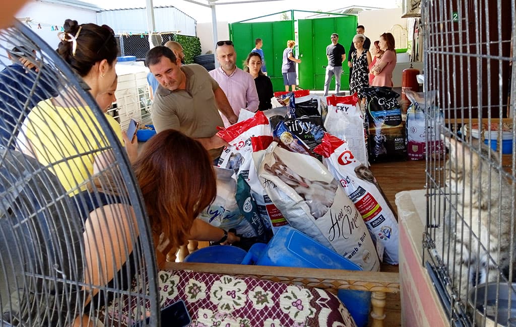 prostye-sposoby-pomoch-priyutam-dlya-zhivotnyh