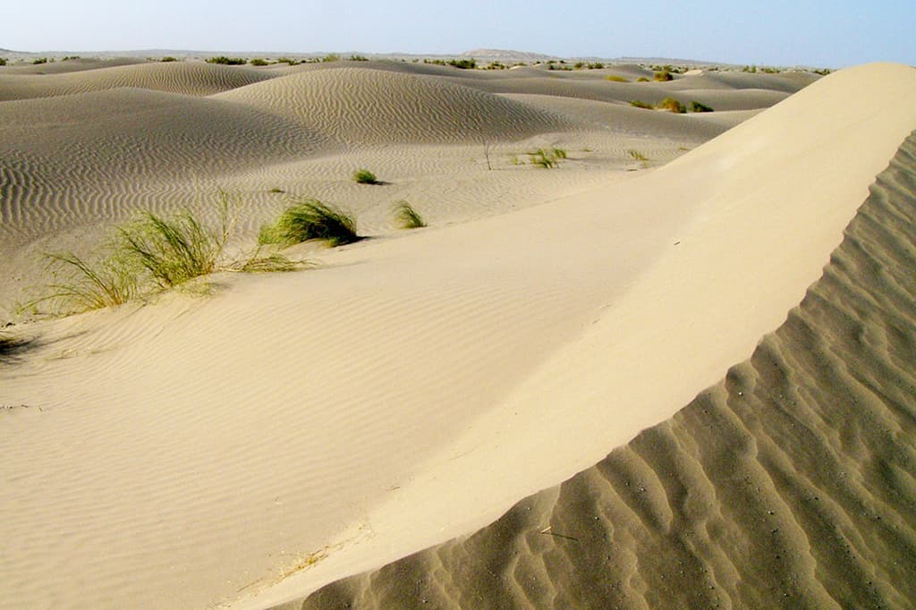 pochemu-turkmenistanu-ne-grozit-opustynivanie