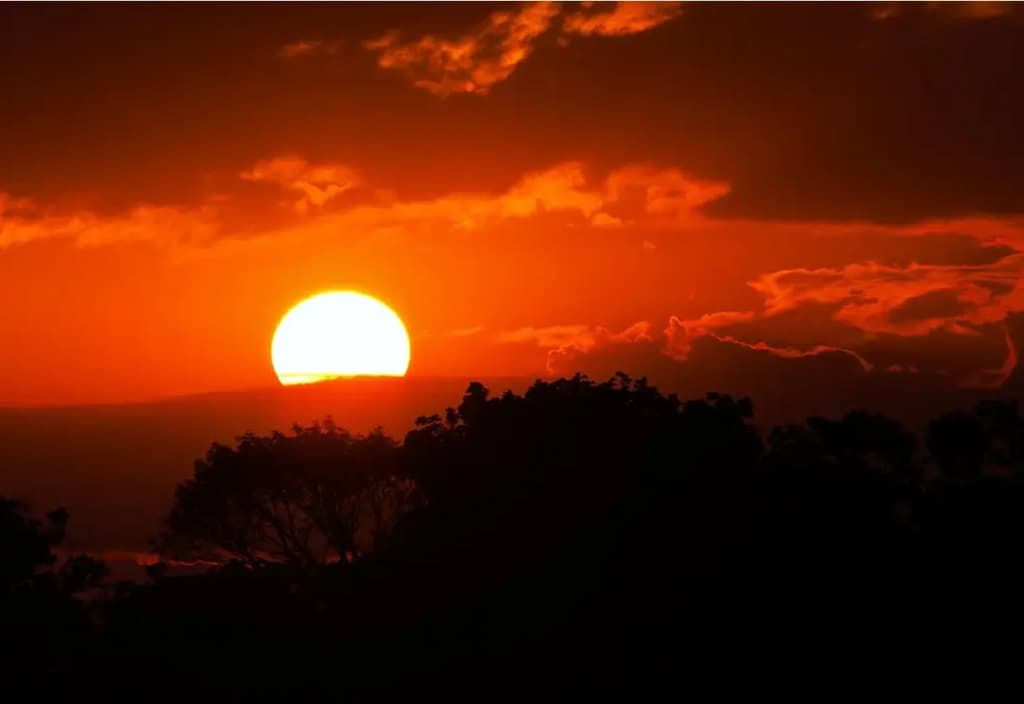 way-darken-sun-being-sought-united-states