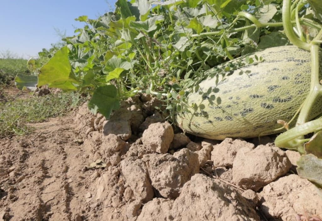 v-novom-centre-ahalskoj-oblasti-projdet-ekologicheskij-seminar