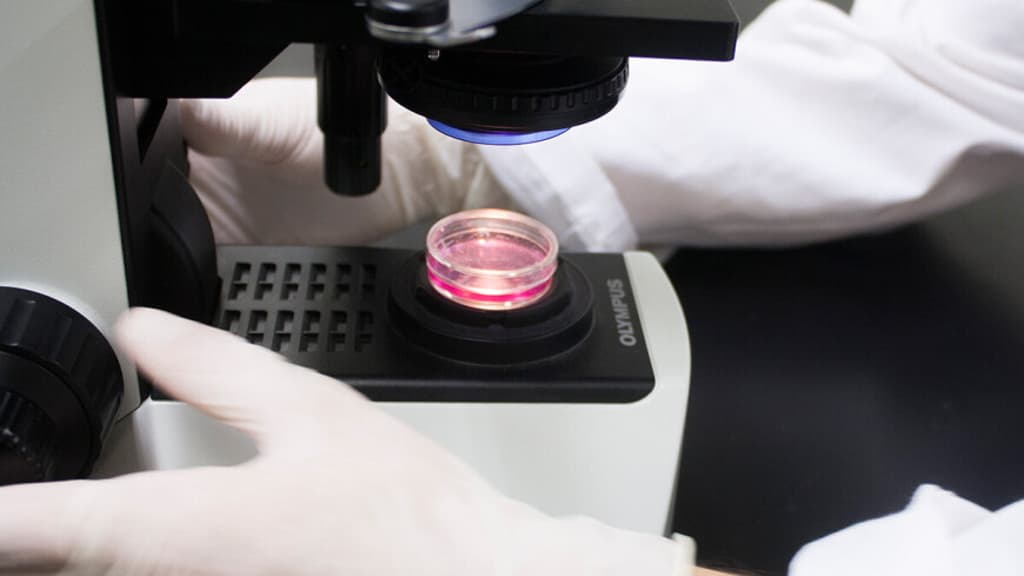 kaspijskoe-more-ot-neftyanyh-zagryaznenij-budet-ochishchat-novyj-vid-bakterij