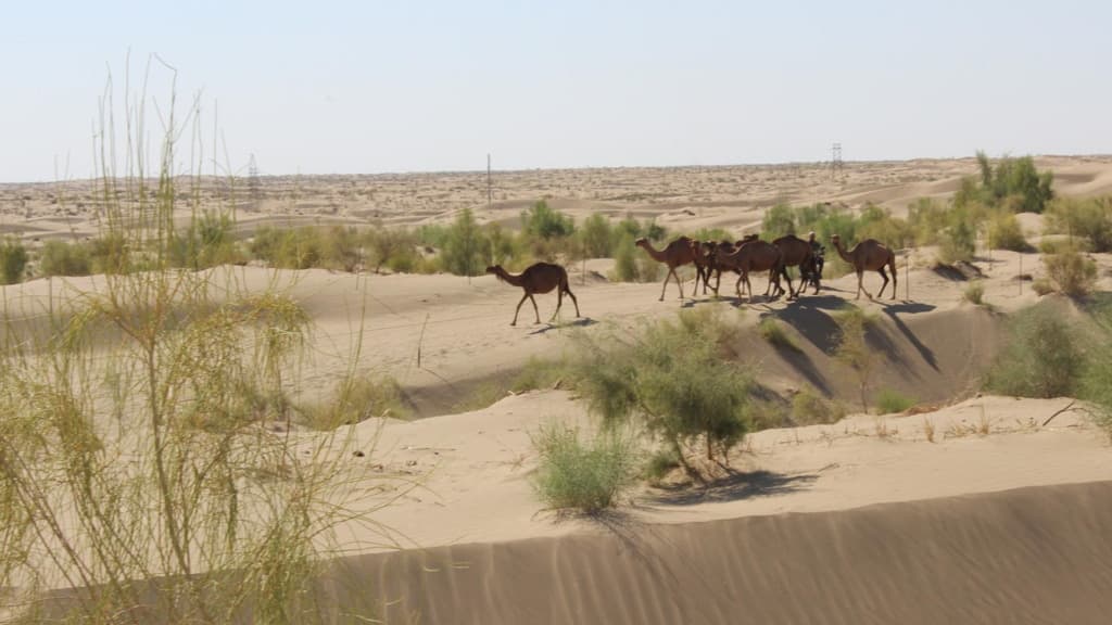 uchenye-mogut-ispolzovat-ohlazhdayushchij-effekt-karakumov-v-ramkah-razvitiya-zelenoj-energetiki