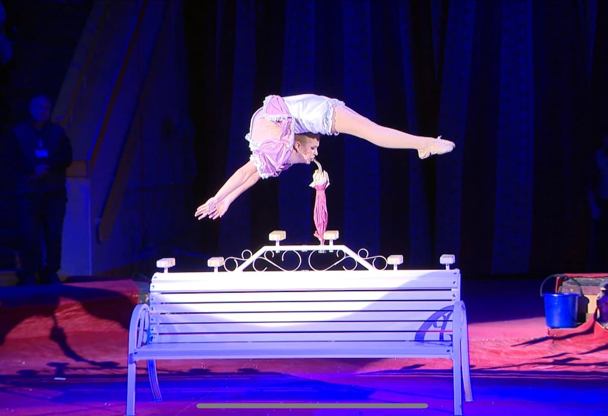 Circus is a tradition: here are both "born in sawdust" and those who came for love