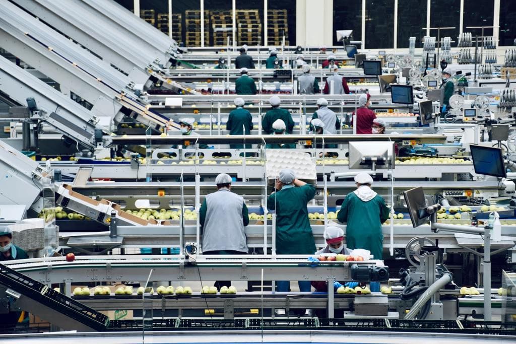 FAO Türkmenistanda önümçilikde we söwdada azyk galyndylarynyň azaldylmagyna goldaw berýär