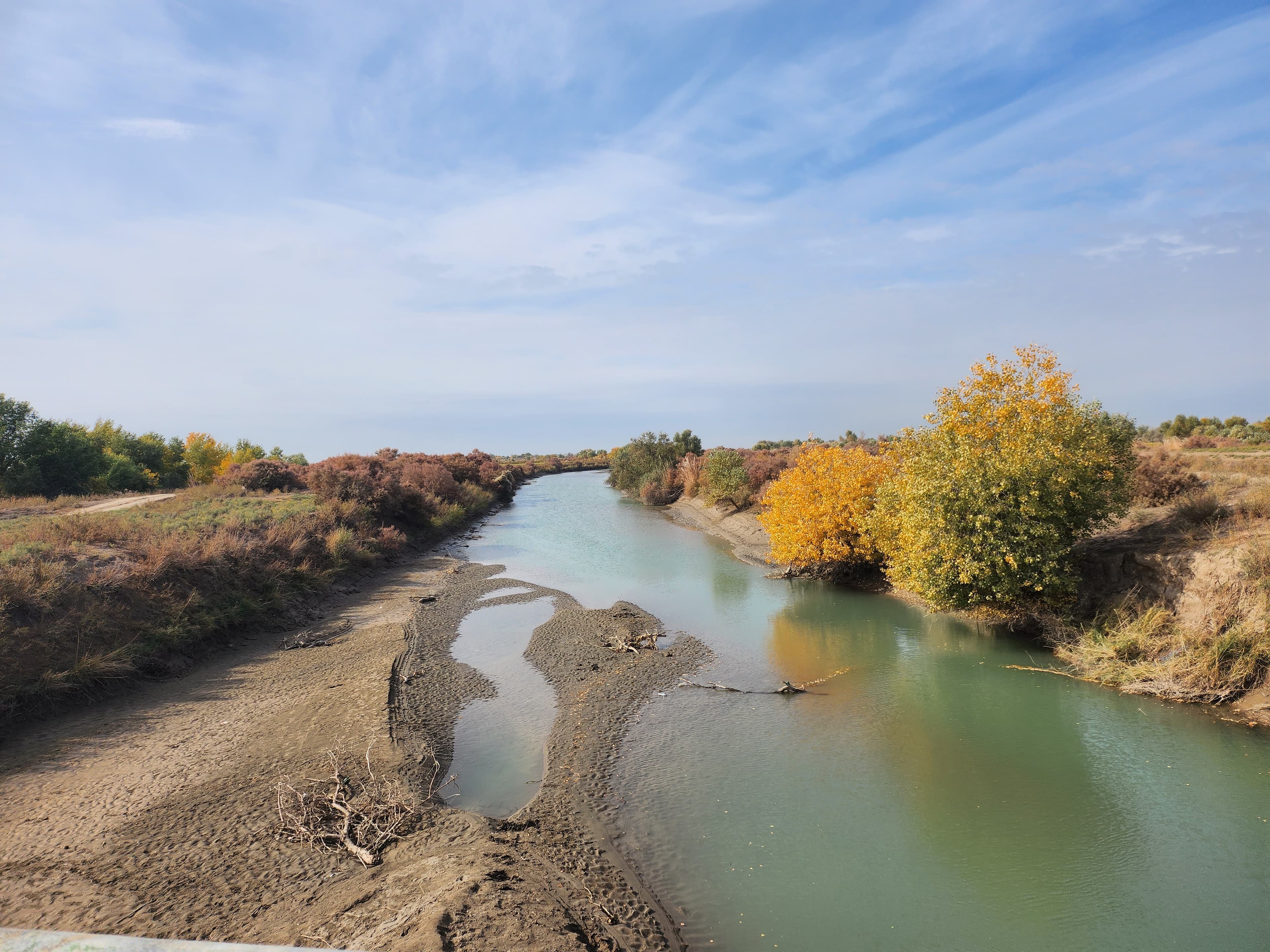 trees-were-planted-along-shavat-canal-dashoguz-prevent-soil-salinization