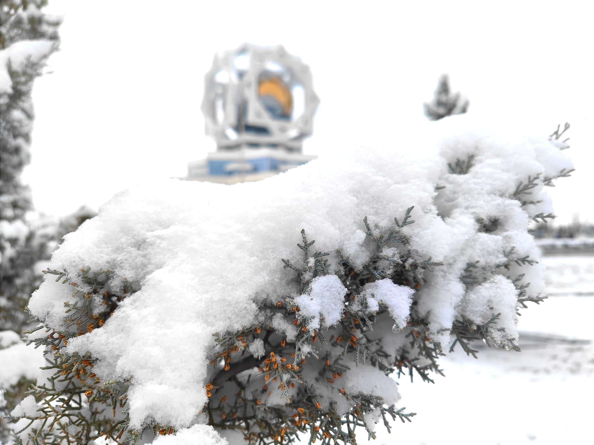 asgabat-ak-gara-burendi-hacan-yyly-howa-garasmaly