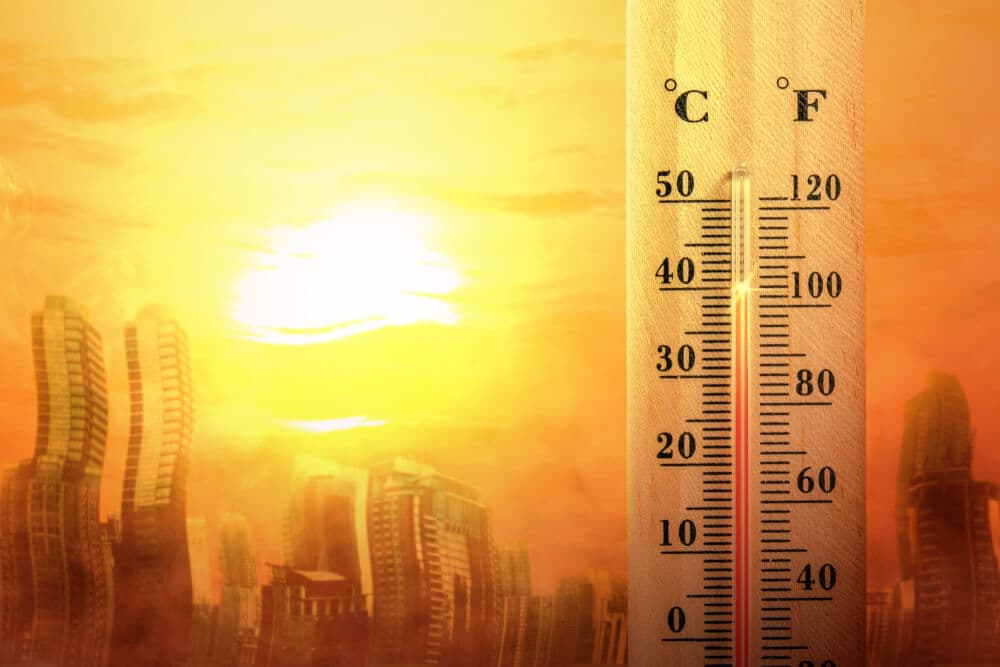climatologists-predict-2024-could-be-hottest-year-history