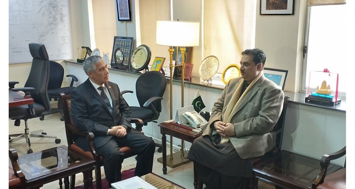 v-islamabade-sostoyalis-peregovory-posola-turkmenistana-s-ministrom-energetiki-pakistana