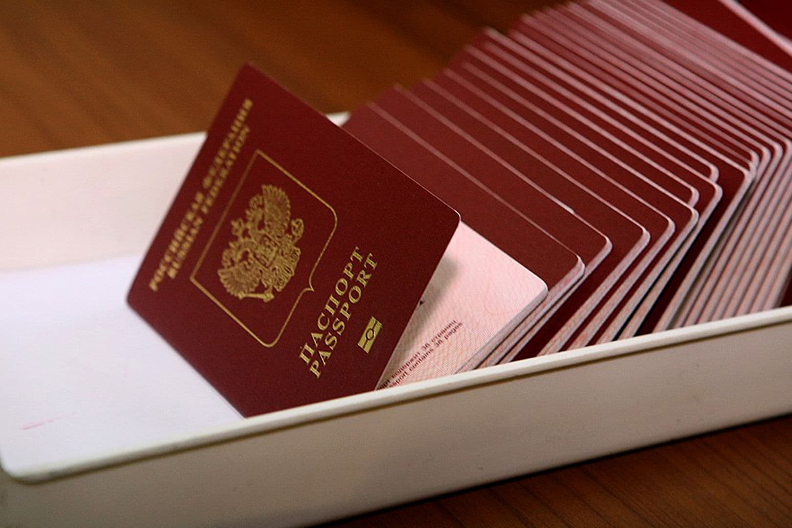 The Embassy of the Russian Federation in Turkmenistan launched an online service for checking the readiness of a foreign passport