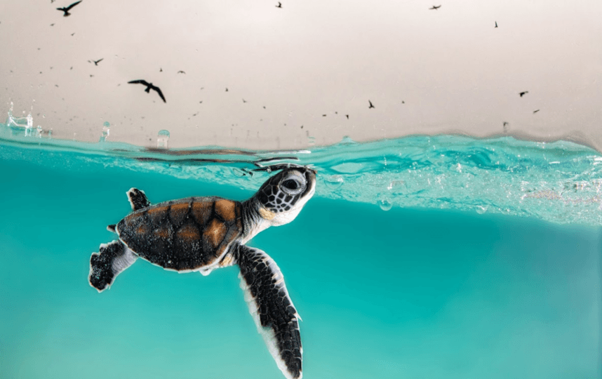 dogovor-ob-okeane-istoricheskoe-soglashenie-dostignuto-posle-desyati-let-peregovorov