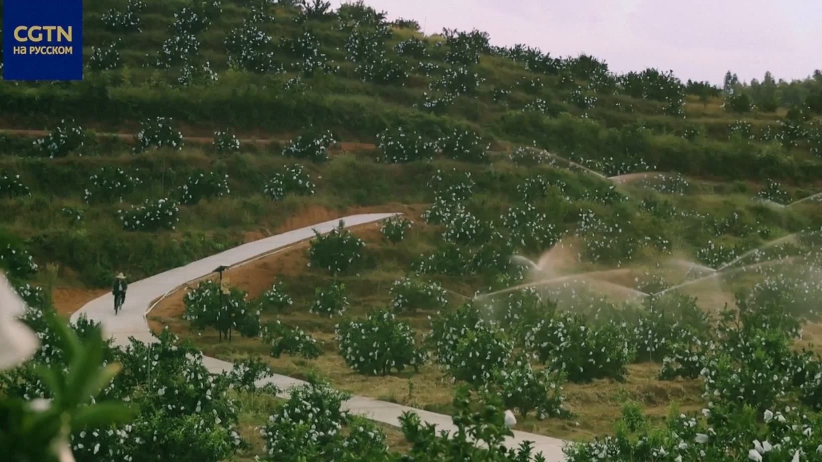 cctv-hytayda-ylmy-tehniki-komissarlar-fermerlere-netijeli-isewurlik-modellerini-doretmage-komek-edyarler