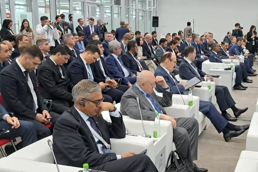 how-can-linguists-help-modern-science-and-average-person-we-are-sorting-it-out