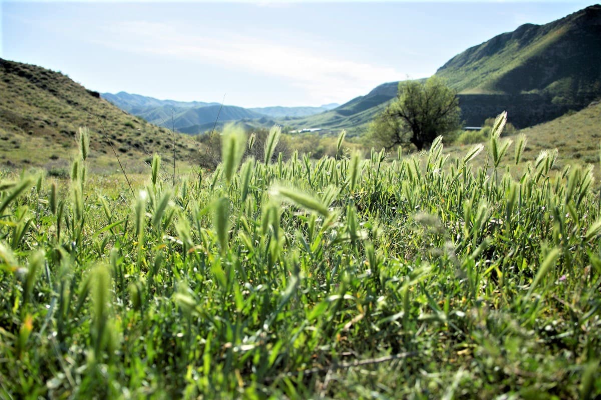 turkmenistan-prisoedinitsya-k-globalnomu-obyazatelstvu-po-metanu