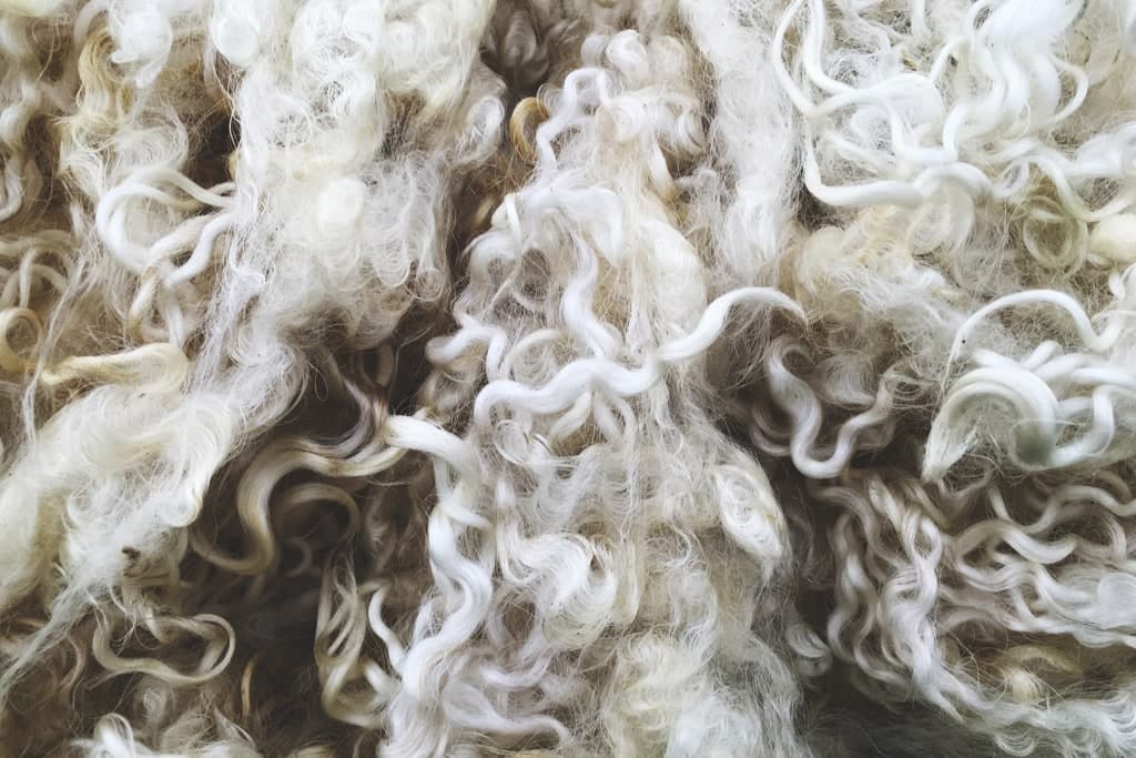 turkmenistan-eksportiroval-174-tonn-kachestvennoj-ovechej-shersti-v-kurganskuyu-oblast