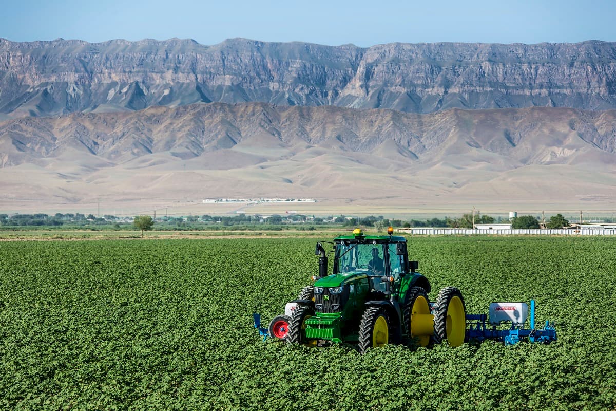 annageldy-yazmyradov-pokinul-post-vice-premera-po-selskomu-hozyajstvu