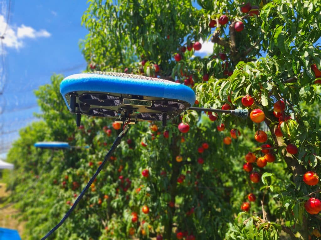 future-farming-ai-drones-collect-ripe-fruit