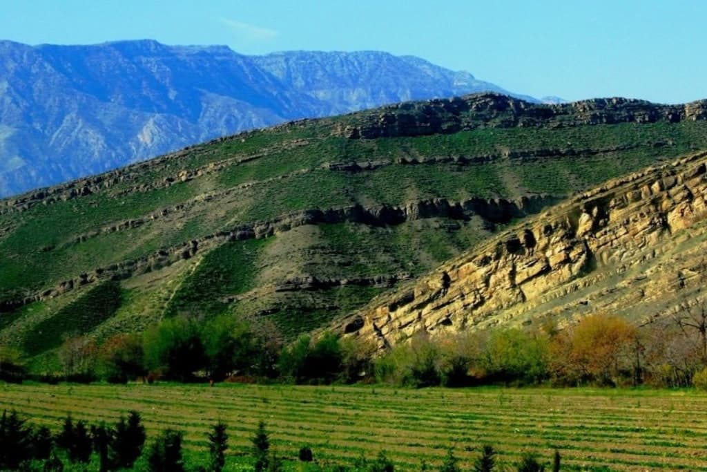 turkmenistan-and-fao-improve-efficiency-land-use-country