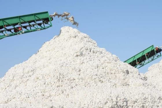 310-edinic-tyazheloj-tehniki-dlya-sbora-hlopka-podgotovili-v-lebape