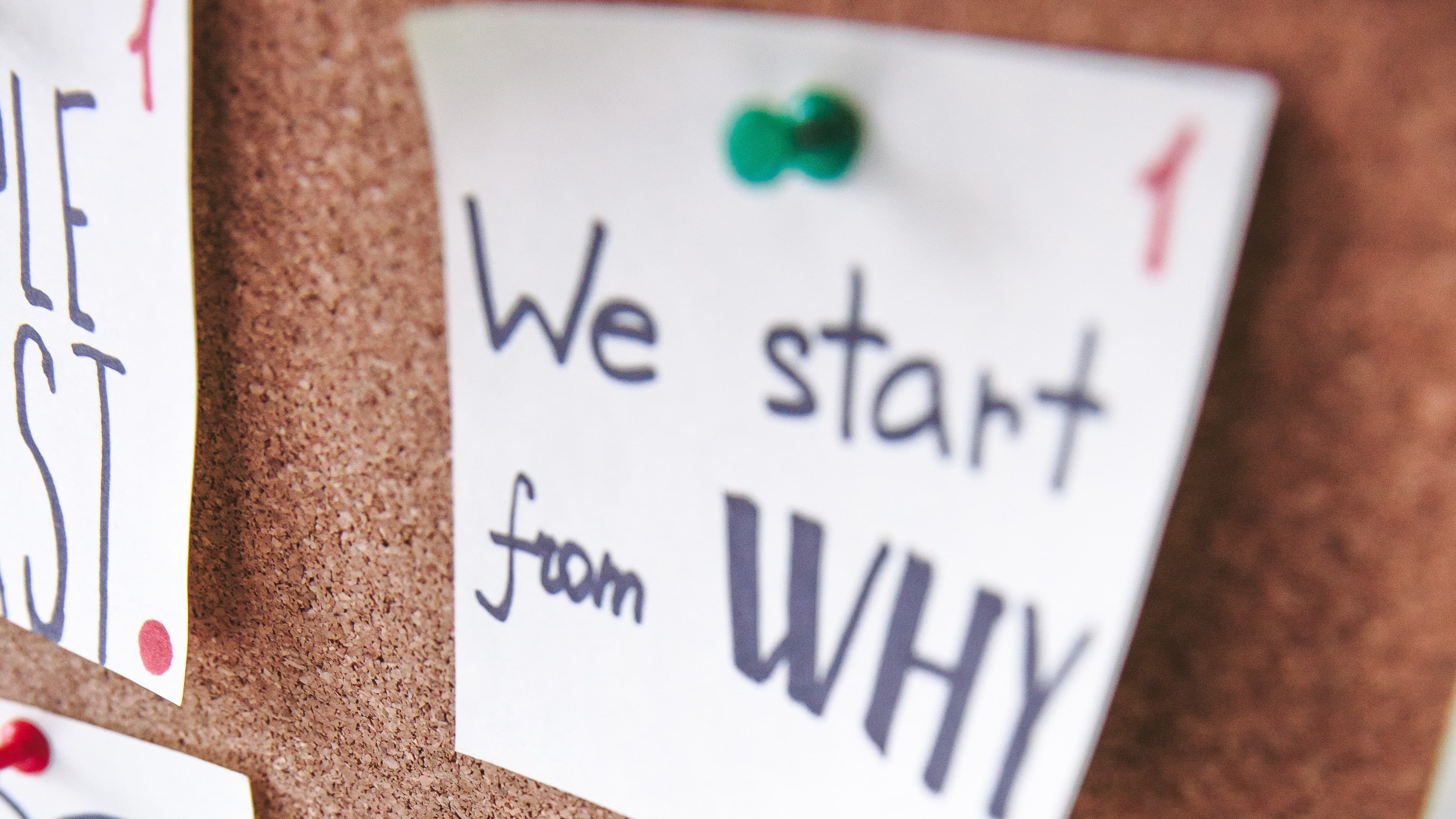 my-product-ready-export