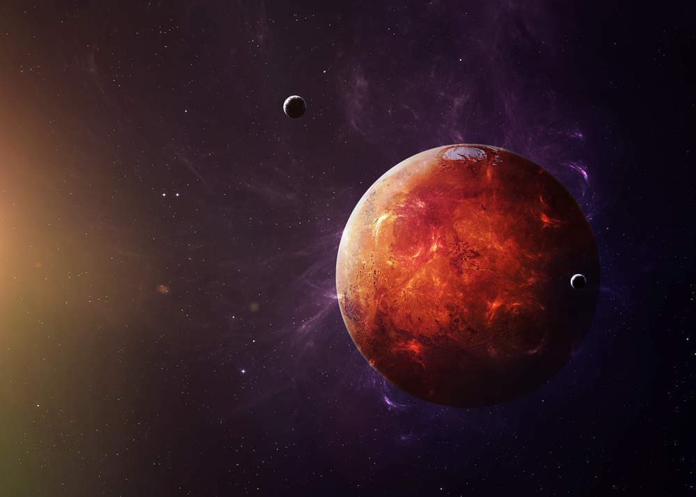 The mineral diversity of Mars is inferior to Earth