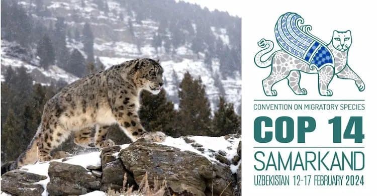 first-time-conference-parties-cms-convention-will-be-held-cis