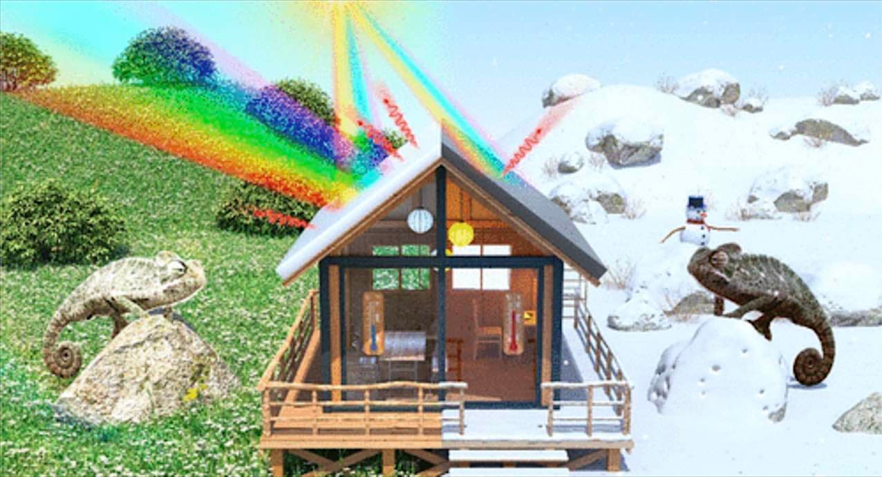 new-chameleon-inspired-coating-can-cool-and-heat-buildings-all-year-round