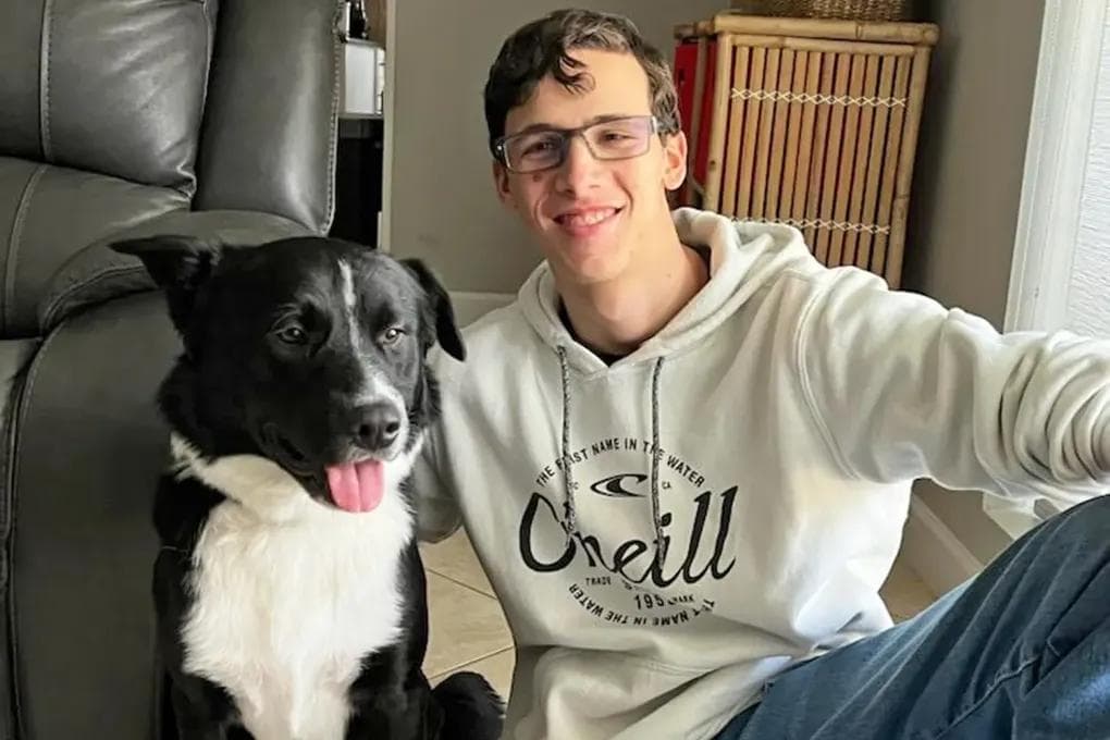 ABŞ-da it insultdan soň 17 ýaşly ýetginjegi halas etdi