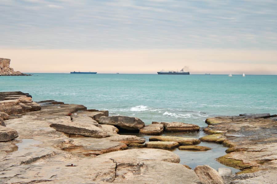 v-kazahstane-sozdadut-institut-po-izucheniyu-kaspijskogo-morya