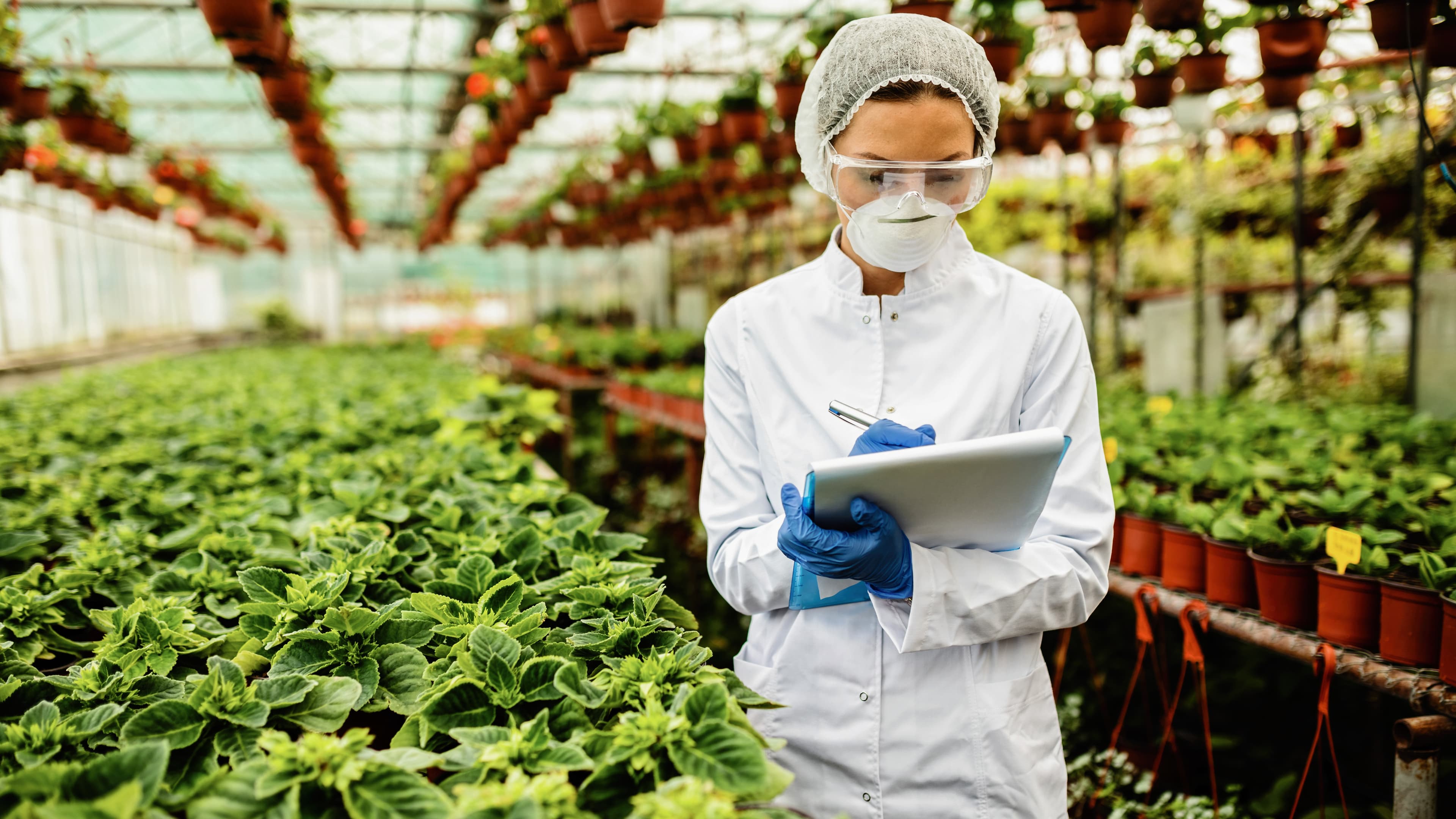 sanitary-and-phytosanitary-control-what-it-and-why-it-needed