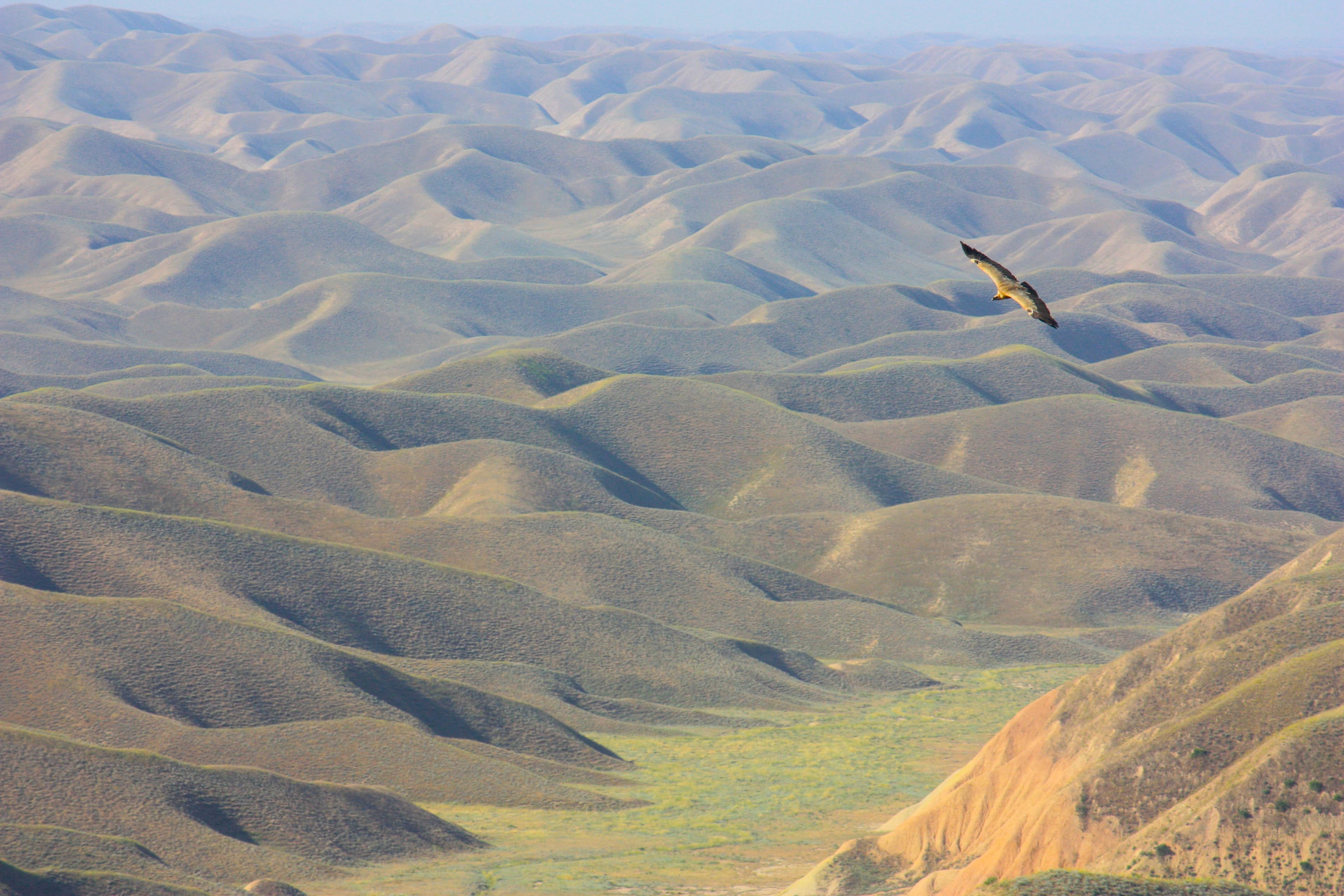 turkmenistan-participates-regional-dialogue-cross-border-nature-protection