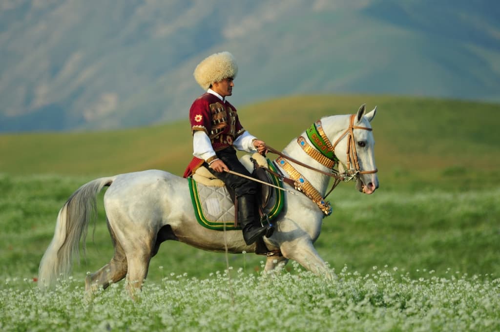 iskusstvo-ahaltekinskogo-konevodstva-popolnilo-spisok-kulturnogo-naslediya-yunesko