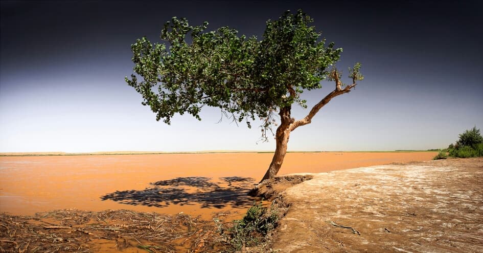 un-general-assembly-adopted-resolution-combating-environmental-problems-central-asia