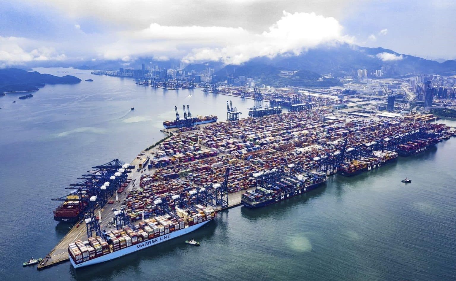 turkmen-customs-officers-visited-chinese-shenzhen-share-best-practices