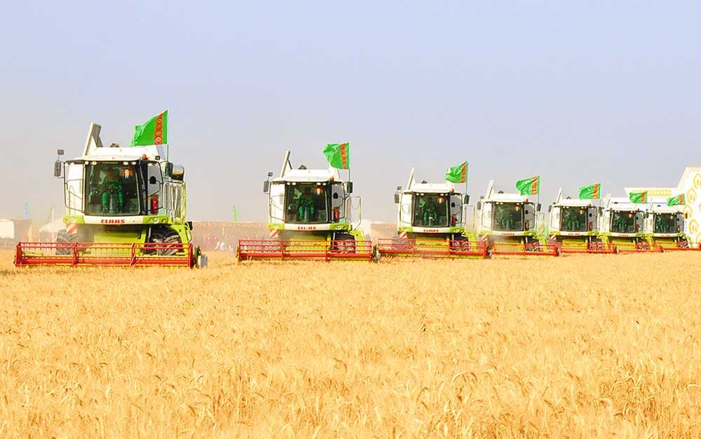 turkmenskie-uchenye-izuchayut-innovacionnye-podhody-v-vedenii-selskogo-hozyajstva