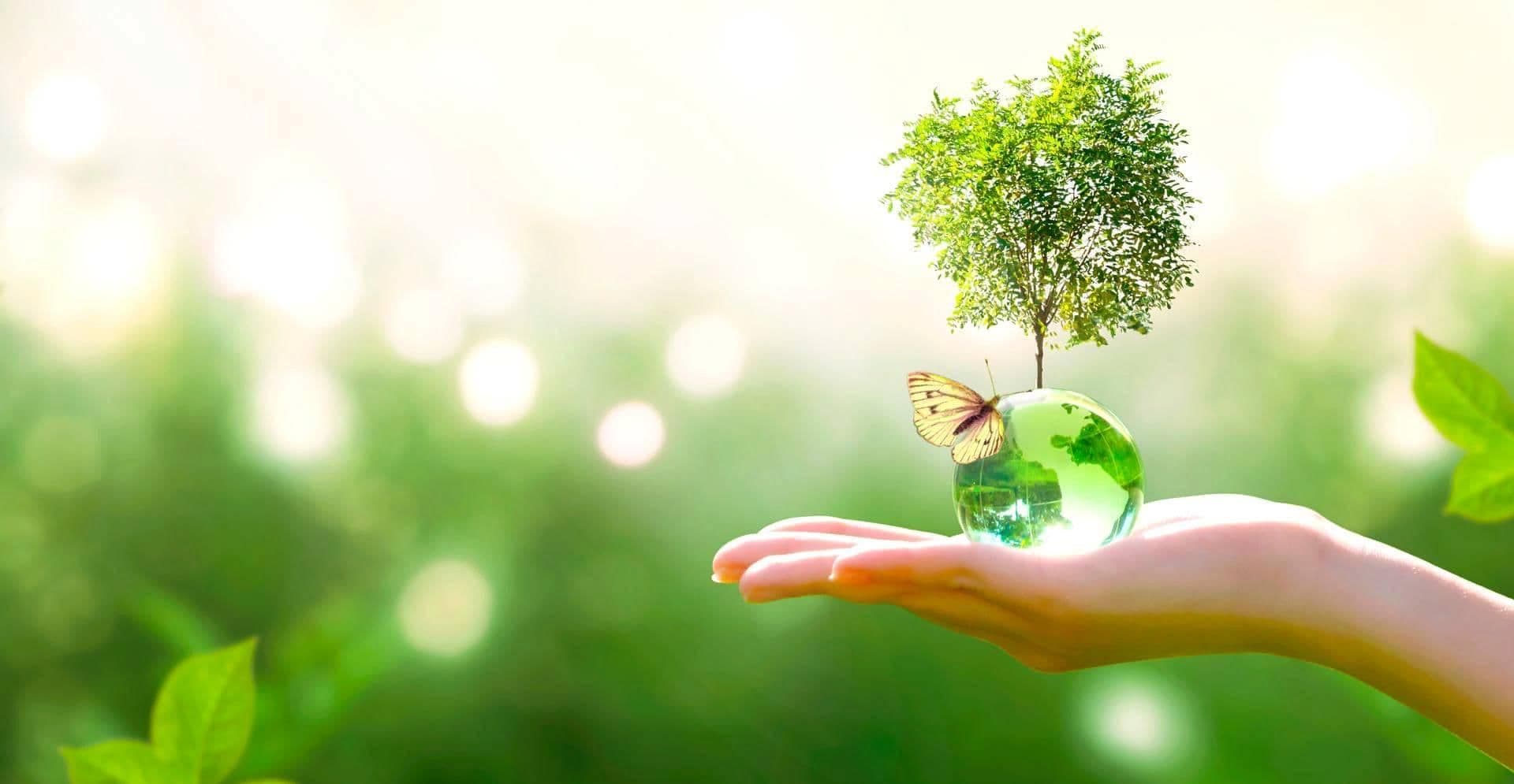 predstavitelstvo-es-v-turkmenistane-provedet-zelenye-igry-na-beregu-geokdepinskogo-ozera