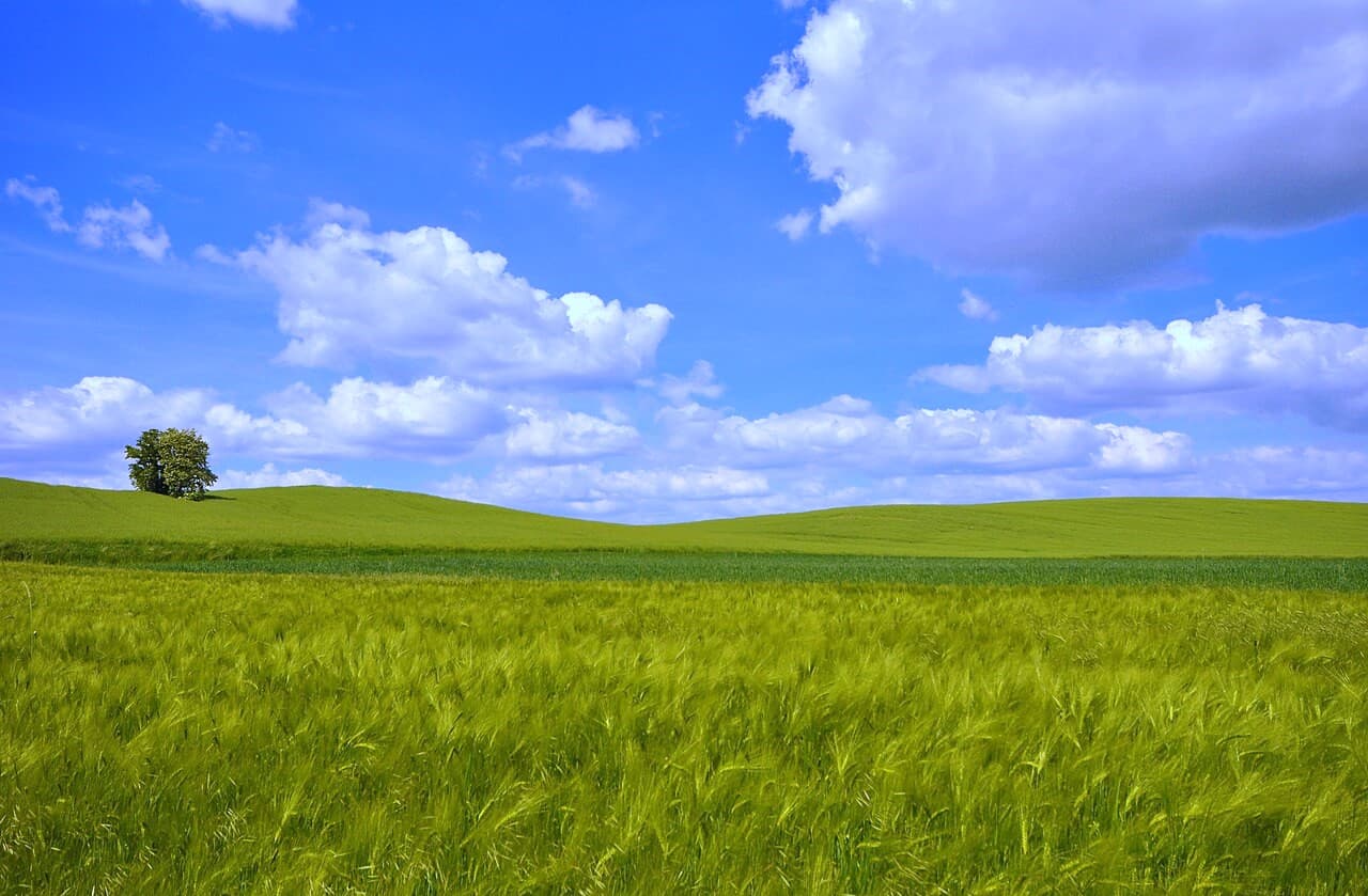 avstrijskih-ekspertov-po-selskomu-hozyajstvu-zhdut-v-turkmenistane