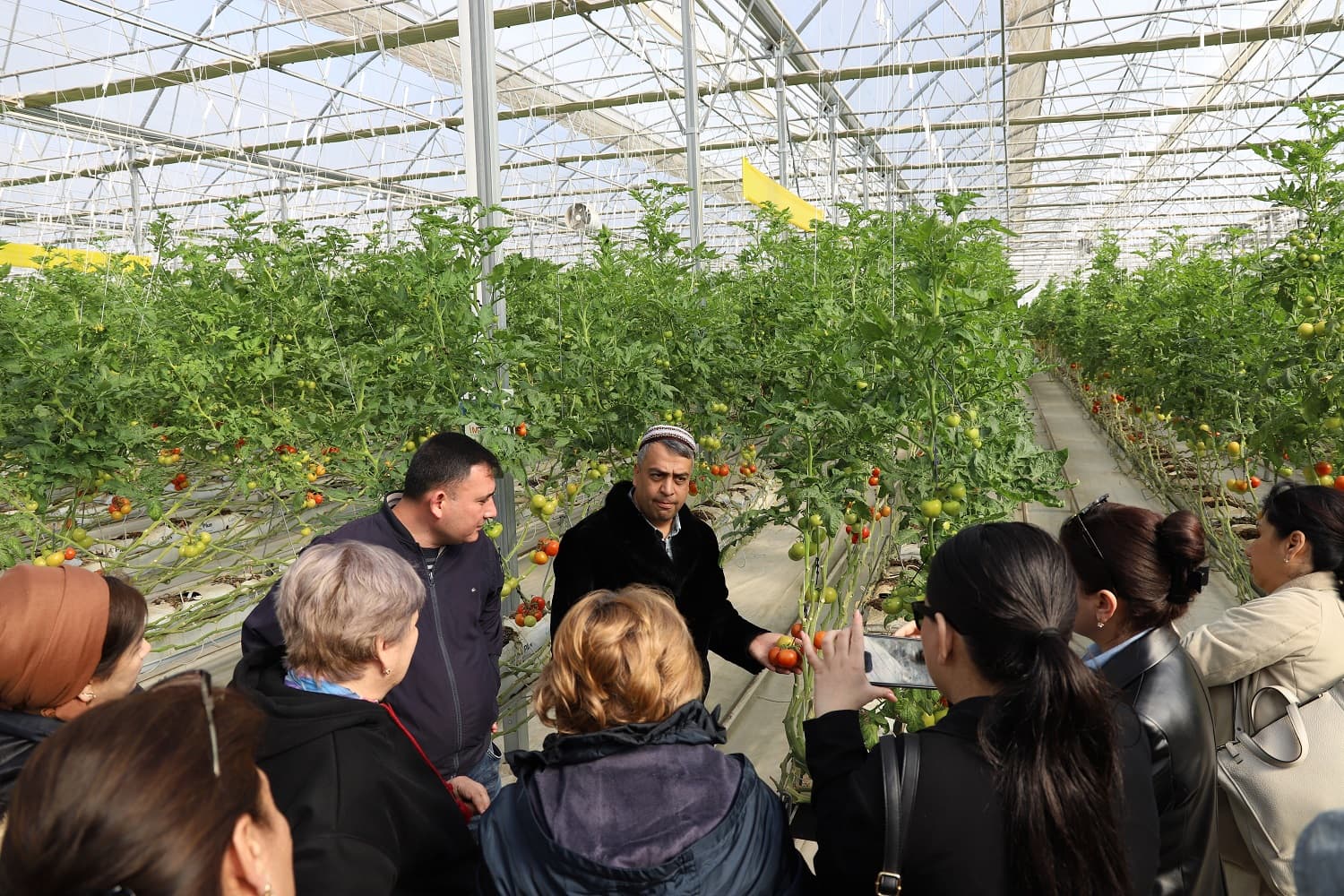 turkmenskie-specialisty-proshli-kurs-seminarov-po-adaptacii-selskogo-hozyajstva-k-izmeneniyu-klimata