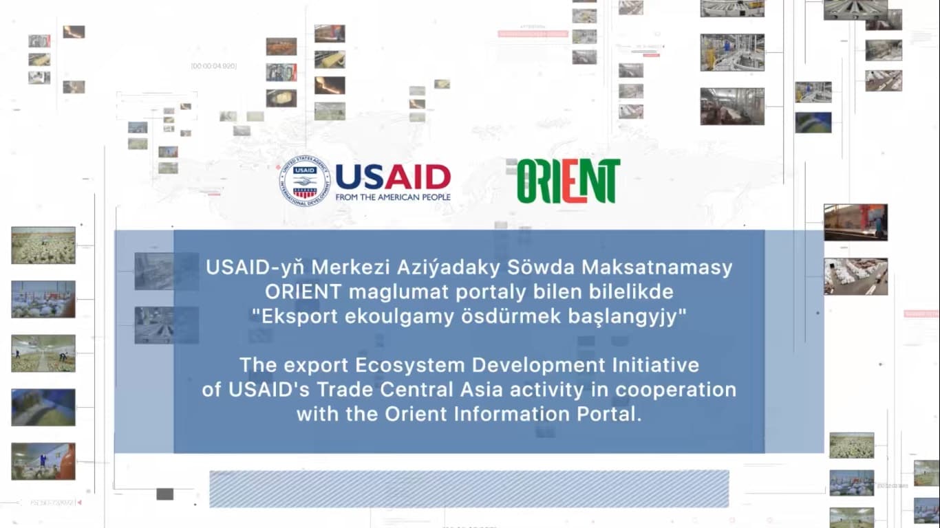 Интервью с предпринимателем Дженнет Гарлыевой ( Unique Camel Wool )