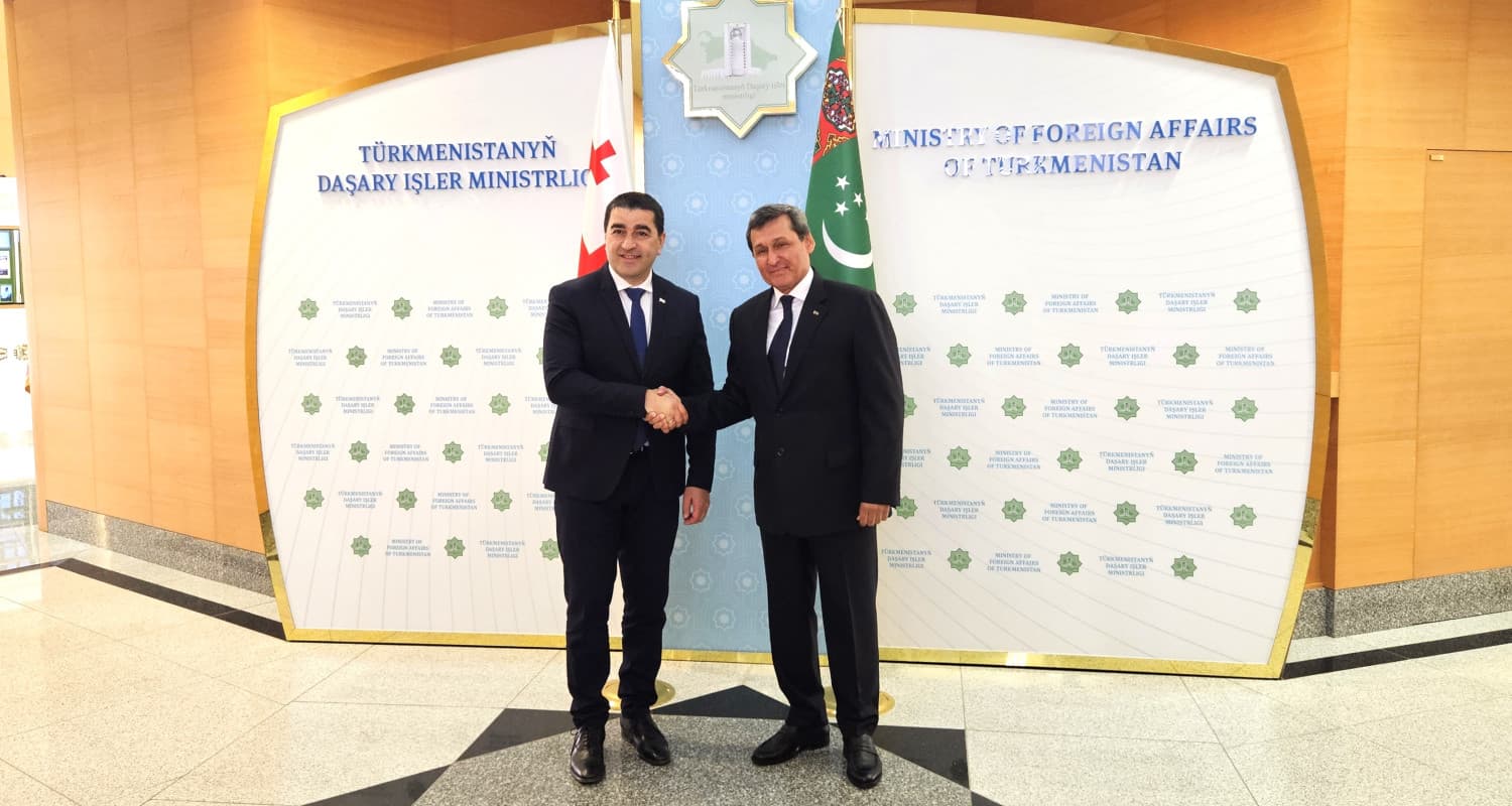 glava-mid-turkmenistana-vstretilsya-s-predsedatelem-parlamenta-gruzii