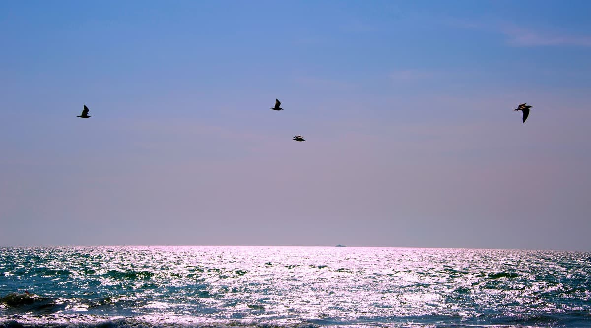 turkmenistan-strengthens-international-cooperation-environmental-track