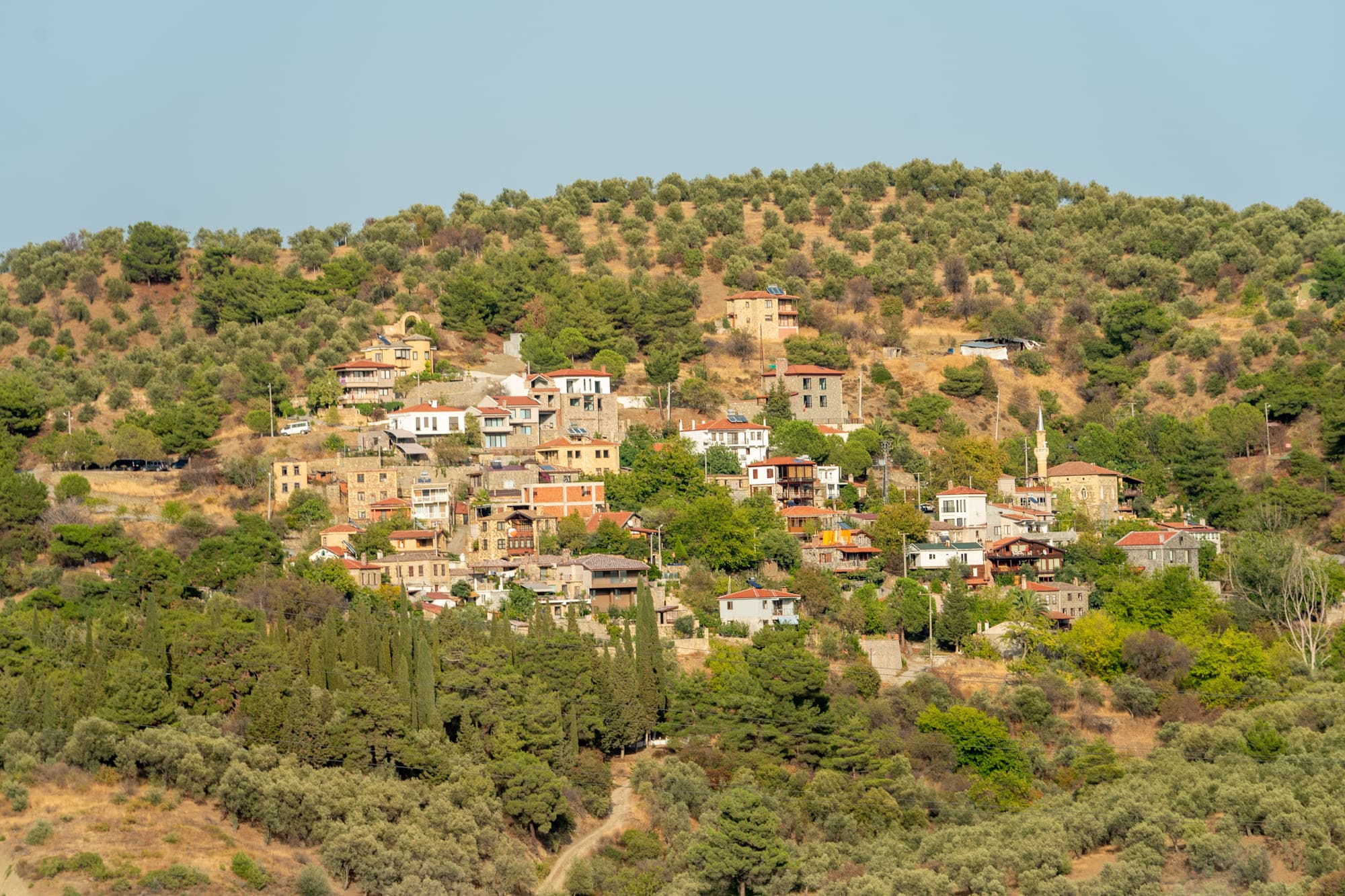 gora-ida-ekologichnyj-otdyh-tam-gde-vstrechayutsya-istoriya-kultura-i-priroda