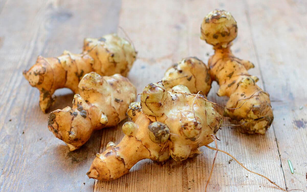 turkmenskie-uchenye-izvlekli-inulin-i-fruktozu-iz-topinambura-novye-vozmozhnosti-dlya-ekonomiki