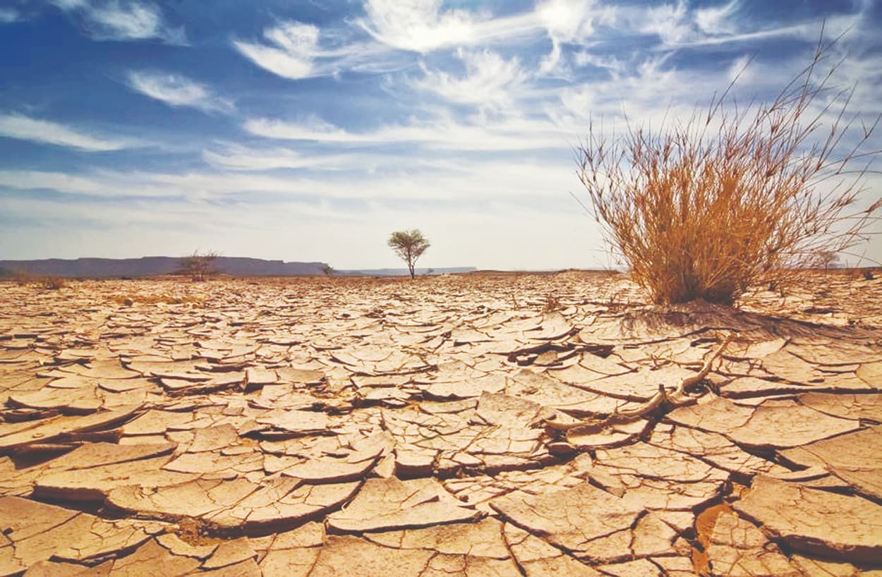 v-uzbekistane-pri-prezidente-respubliki-sozdadut-klimaticheskij-sovet